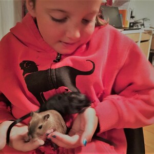 Fundraising Page: Serafina Ferrazzoli